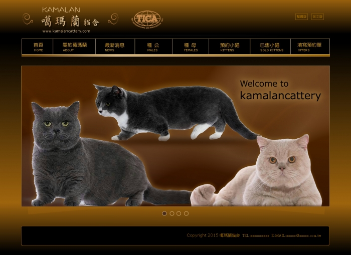 ,貓舍 ╱ 網頁設計 Y.105 程式設計/網頁設計風格-豐富色彩